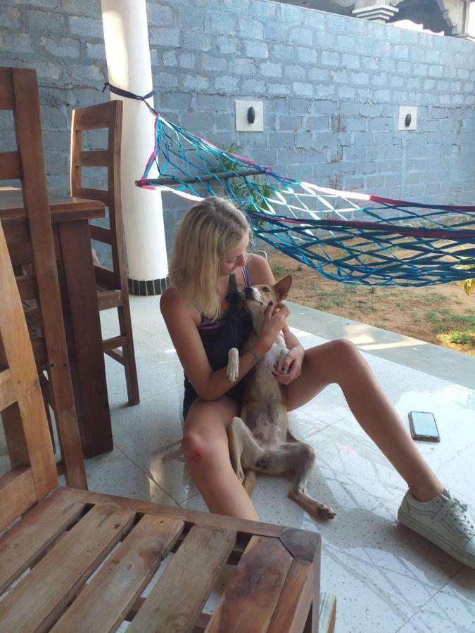 Alcatraz Hostel Аругам-Бей Екстер'єр фото
